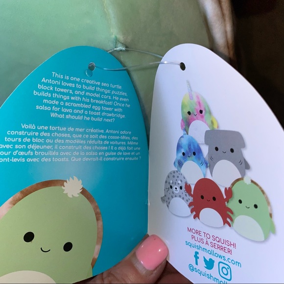 Squishmallows Other 2 Antoni The Turtle Squishmallow Poshmark